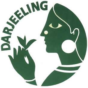 Darjeeling Flugtee "Puttabong" Dj.07_2022, First Flush SFTGFOP1