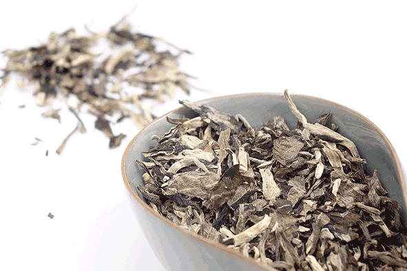 Weißer Tee "Weißer Pu Erh – Große Silbernadel" aus Kun Ming, Yunnan