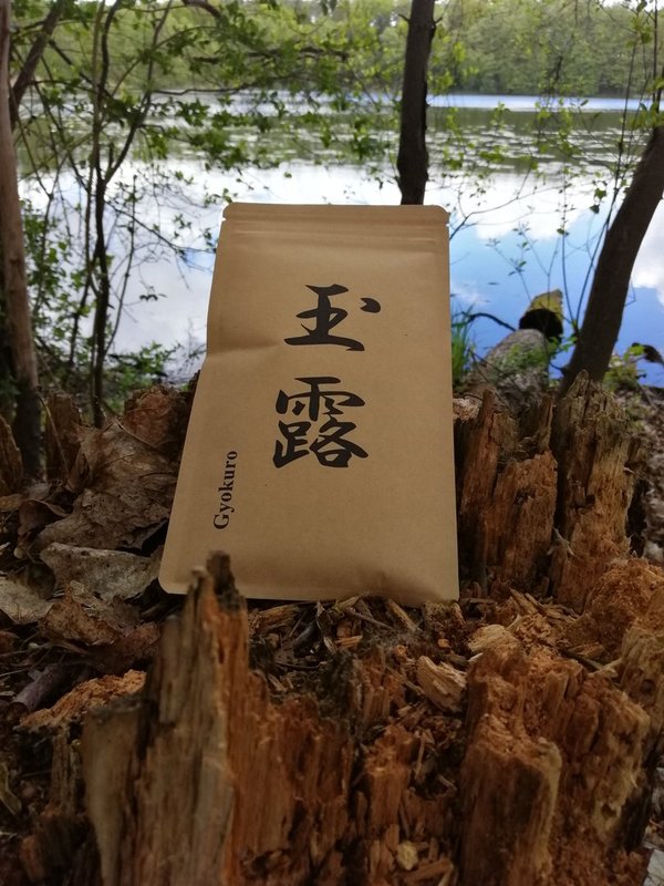 Gyokuro (Schattentee), Grüner Tee (verpackt), aus Kagoshima, Japan