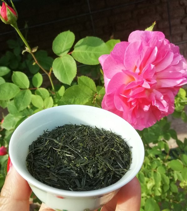 Shincha Saemidori, tiefgedämfter Sencha 2023 Grüner Tee aus Shizuoka, Japan, 50g verpackt