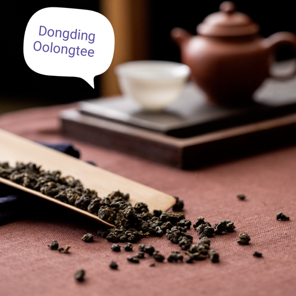 Dongding Oolongtee Classic Dongding aus Minggu, Taiwan, filigrane Anröstung