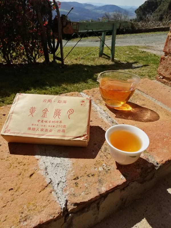 Gushu Sheng Pu Erh "Huang Jin Sui Yue - Ein goldenes Jahr", vom Lao Man e Berg , Menghai, Yunnan